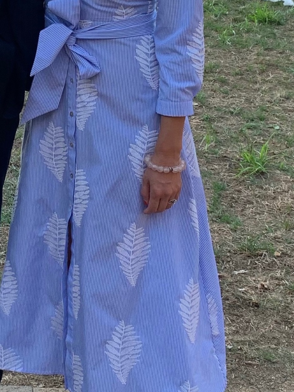 Posh Blue and White Striped & embroidered leaf dress